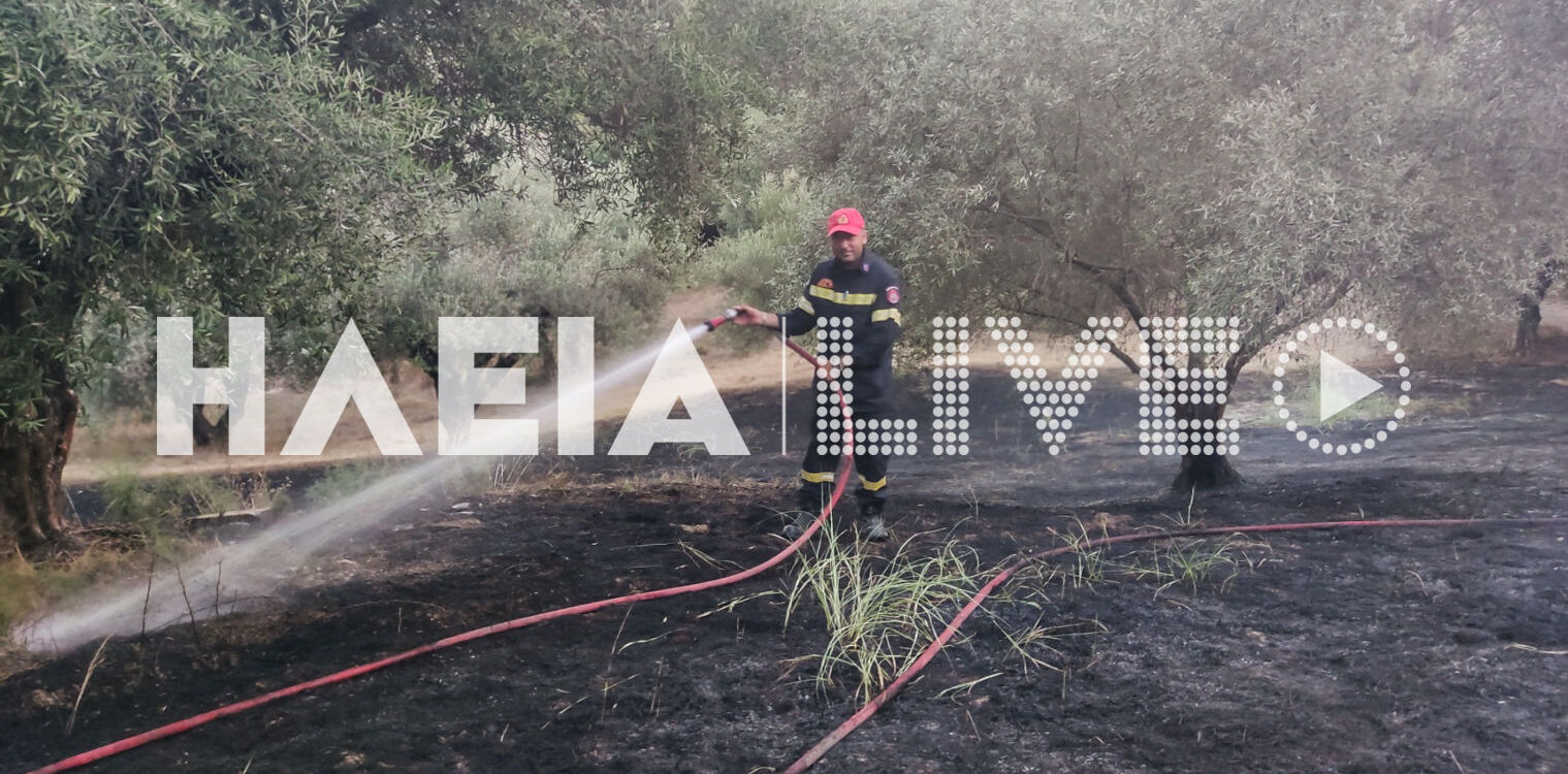 Χειμαδιό: Άμεση κινητοποίηση της Πυροσβεστικής για πυρκαγιά σε λιοστάσι