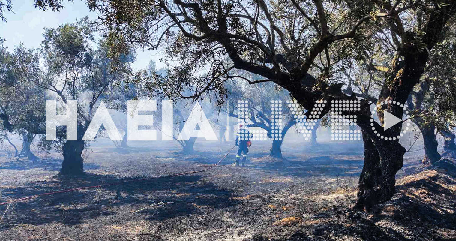 Δουνέικα Αμαλιάδας: Νέα πυρκαγιά κοντά στο Μεσολογγάκι - Κάηκαν λιοστάσια