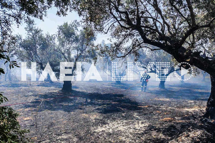 douneika fotia 2