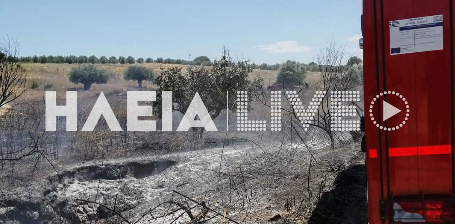 Τραγανό δήμο Πηνειού: Στάχτη πέντε στρέμματα αγροτοδασικής έκτασης
