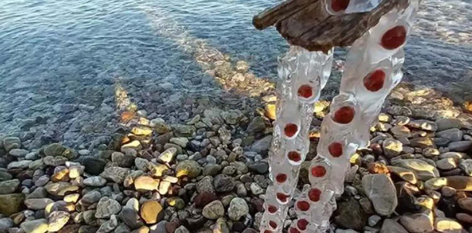 Πάτρα: Δεν είναι μωβ μέδουσα – Με αυτό το νέο, περίεργο θαλάσσιο ον ασχολούνται οι λουόμενοι