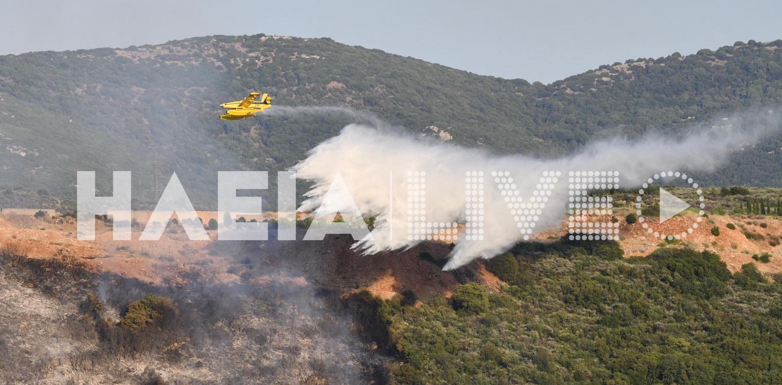 Φανάρι Ανδρίτσαινας: Ελέγχεται η δασική πυρκαγιά - Πρόλαβαν τα χειρότερα οι πυροσβέστες