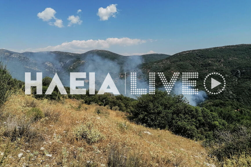 fotia lini 1