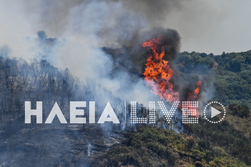fotia agnanta new 10