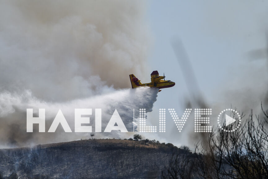 fotia agnanta new 11
