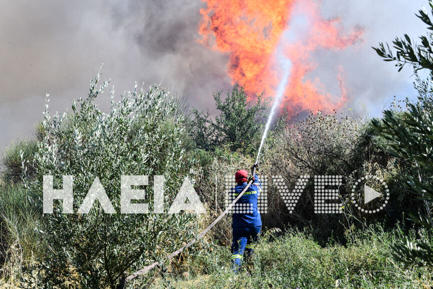 fotia agnanta new 17