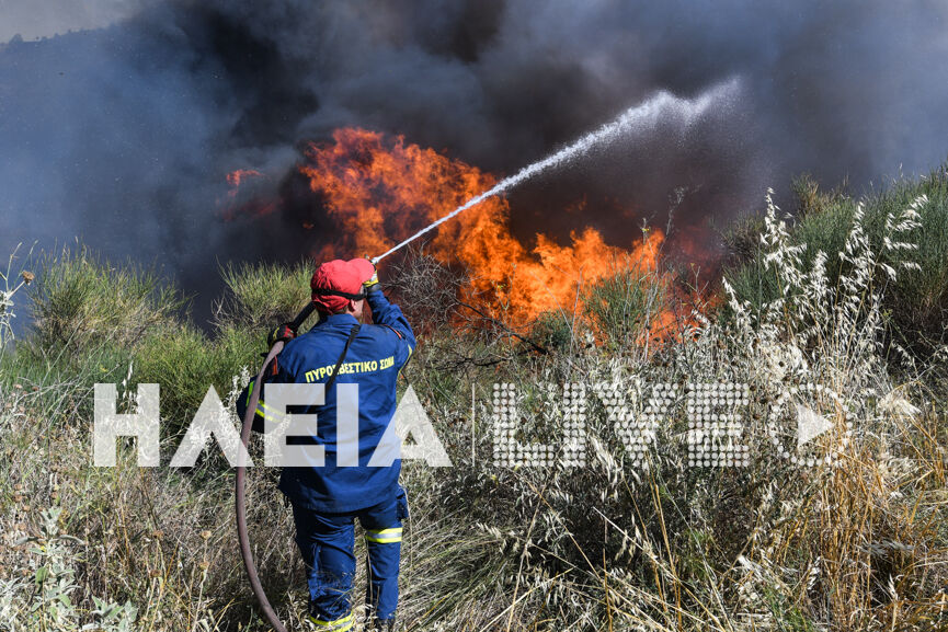 fotia agnanta new 18