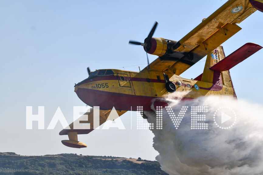 fotia agnanta new 22