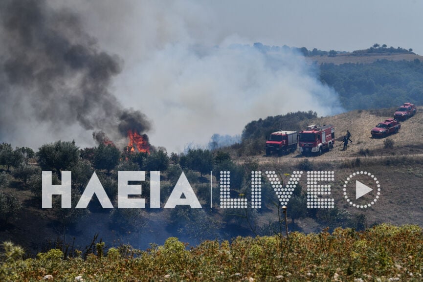 fotia agnanta new 4