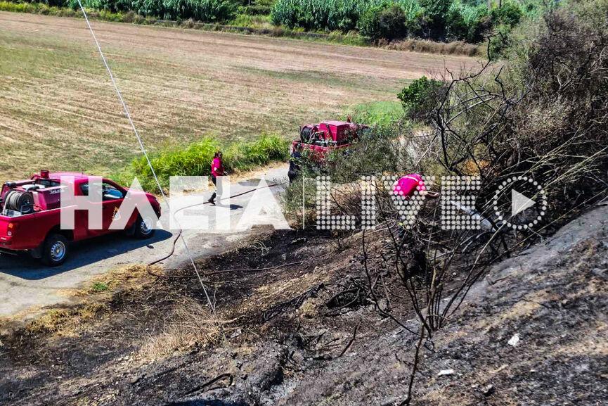 fotia alfeios new 2