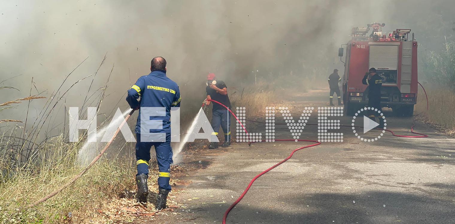Πυρκαγιά στην Ε.Ο. Πύργου - Κυπαρισσίας κοντά στο Ποτόκι - Τέθηκε υπό έλεγχο (photos &amp; video)