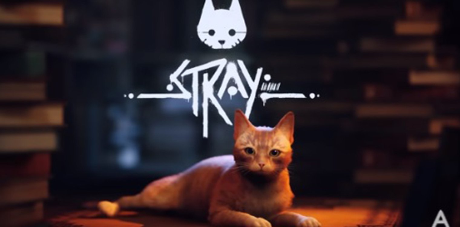 Stray: Το viral παιχνίδι κάνει θραύση και στις... γάτες εκτός από τους gamers