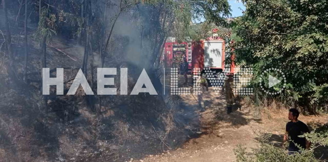 Μαγούλα Ωλένης: Πρόλαβαν τα Air Tractor τα χειρότερα