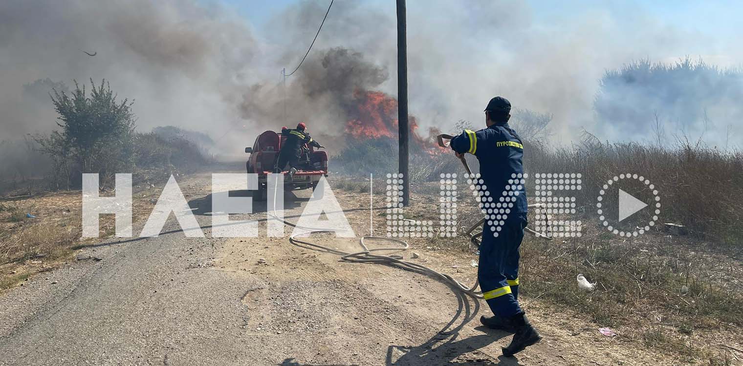 Πύργος: Νέα πυρκαγιά στην περιοχή Λιθαράκια - Απειλήθηκαν σπίτια & ζώα (photos)