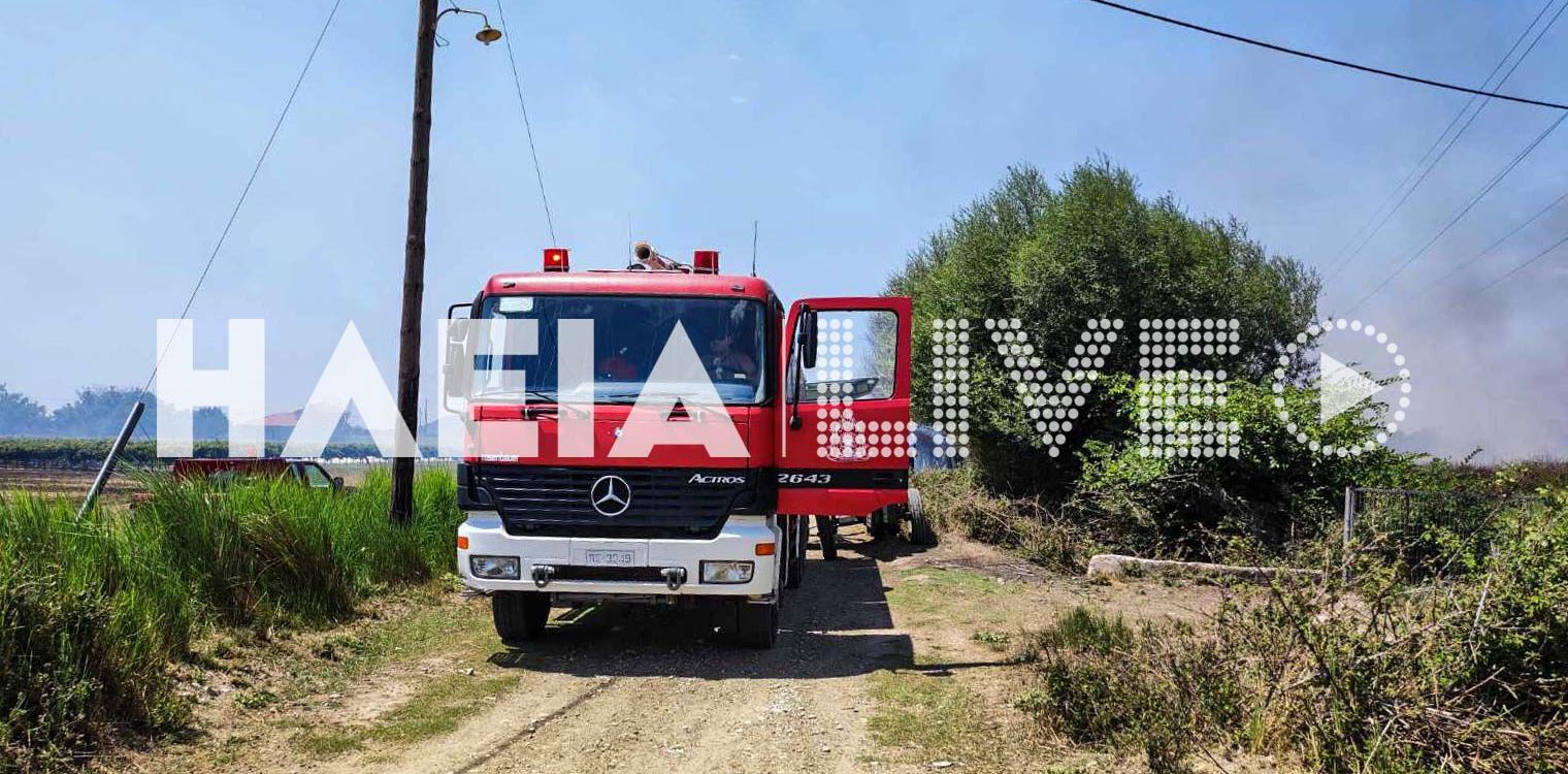 Πελόπιο: Πυρκαγιά σε αγροτική έκταση σε εξέλιξη