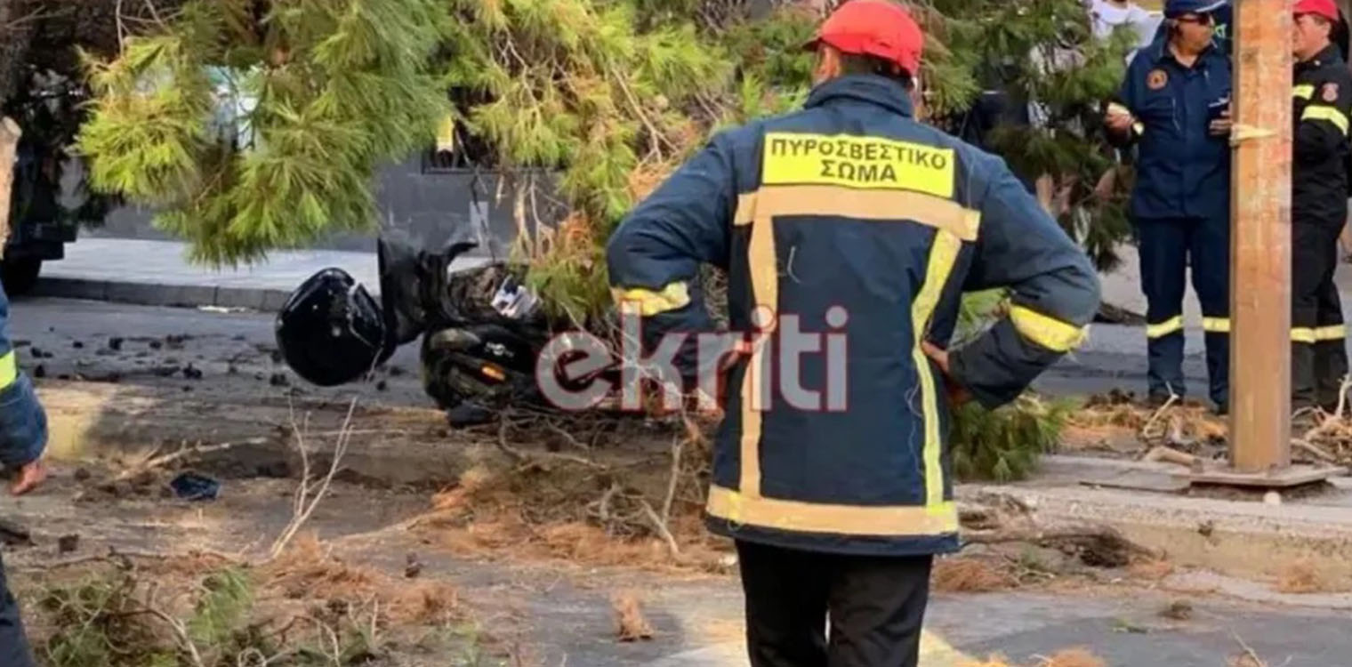 Νεκρός 50χρονος από πτώση δέντρου στο Ηράκλειο Κρήτης