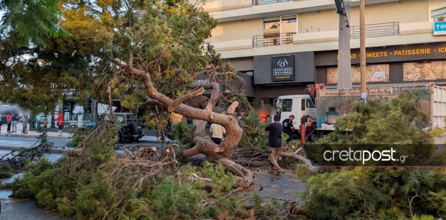Κρήτη: «Θα κινηθούμε νομικά» λέει ο γιος του 50χρονου που καταπλακώθηκε από δέντρο 