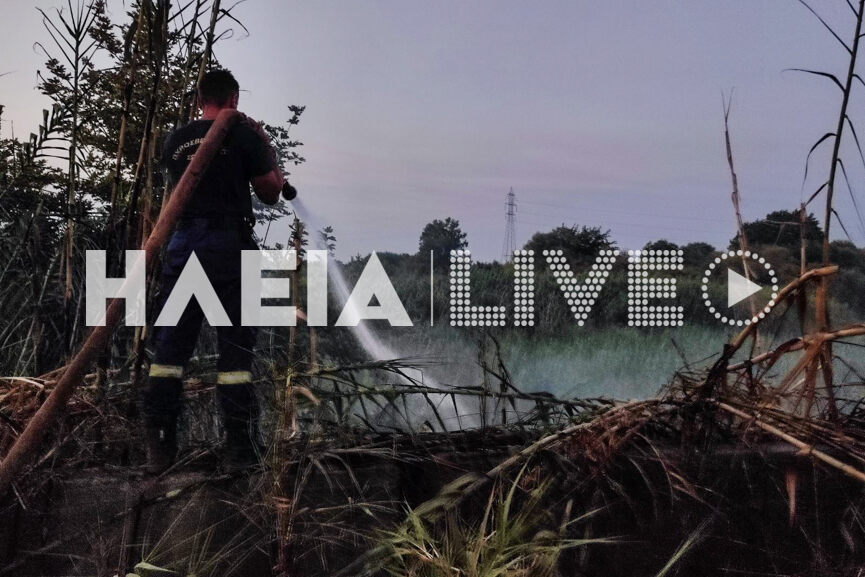 fotia kavas 3