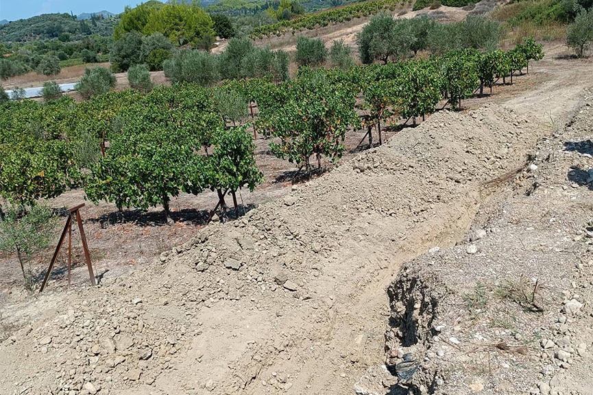 dimos oleni erga 6