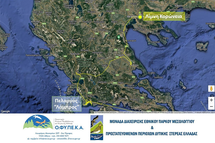 ofypeka pelargoi 5