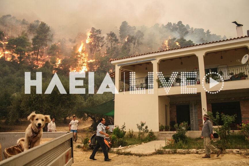 foties zaxaro 11