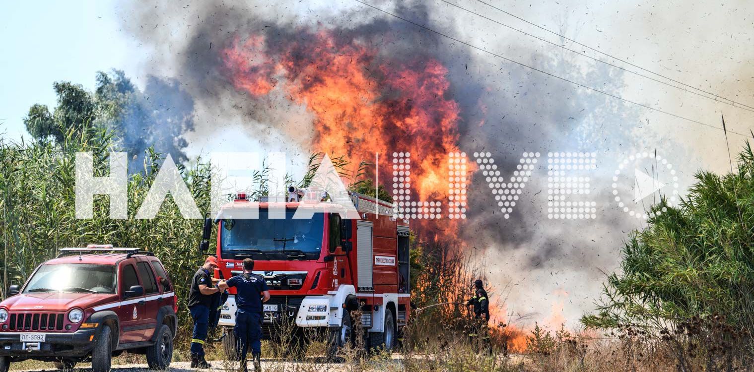 Σπιάντζα Πύργου: Βρείτε τώρα τον εμπρηστή… (photos)