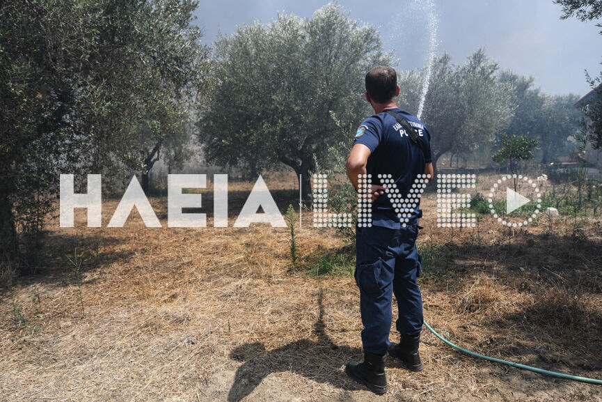 spiantza fire new10 8 16