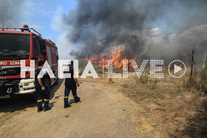 spiantza fire new10 8 20