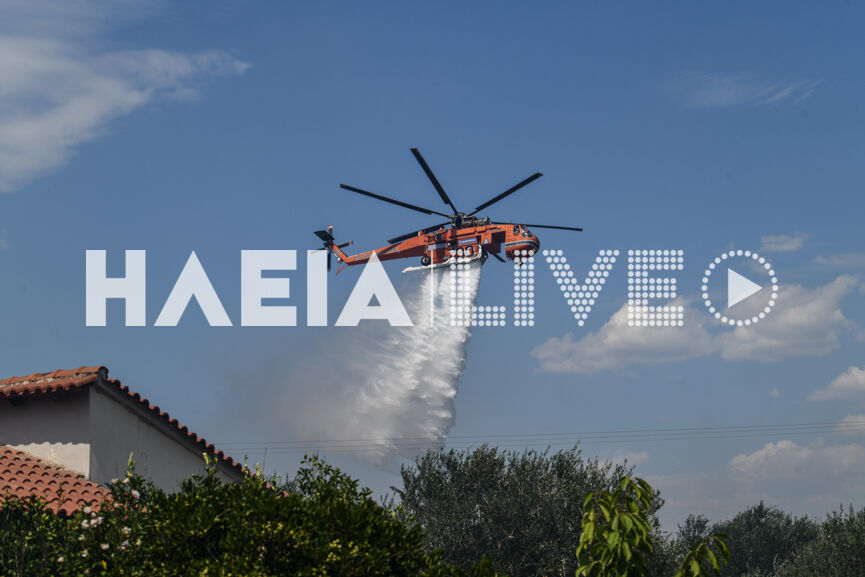 spiantza fire new10 8 22