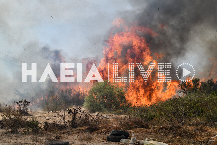 spiantza fire new10 8 3