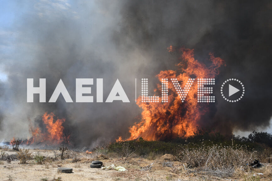 spiantza fire new10 8 4
