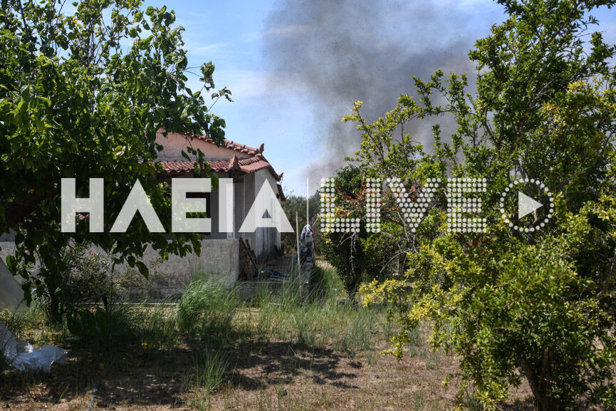 spiantza fire new10 8 5