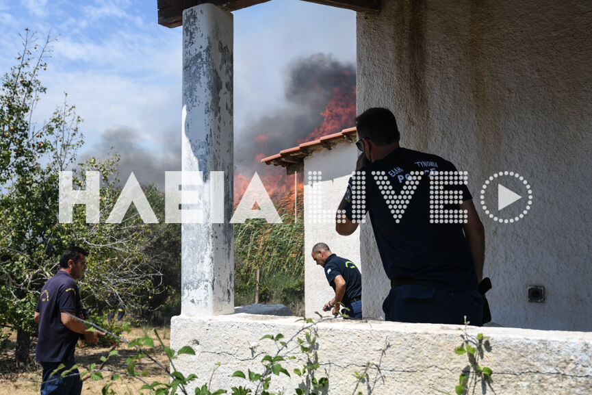 spiantza fire new10 8 6