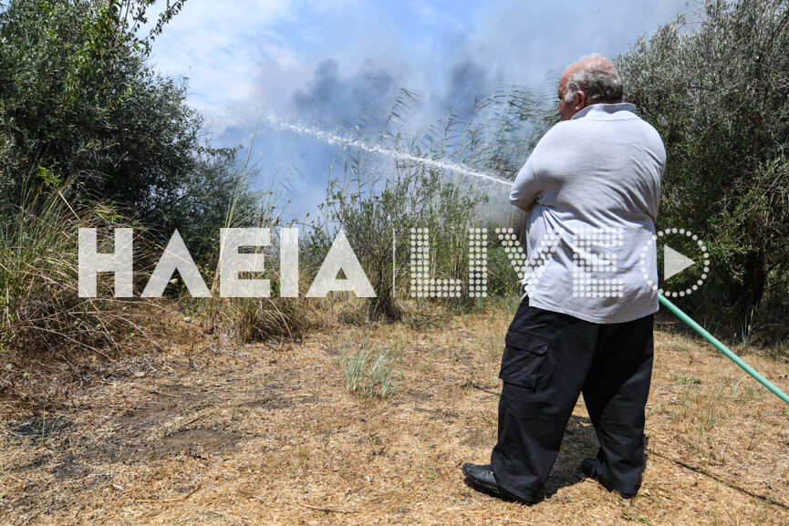 spiantza fire new10 8 8