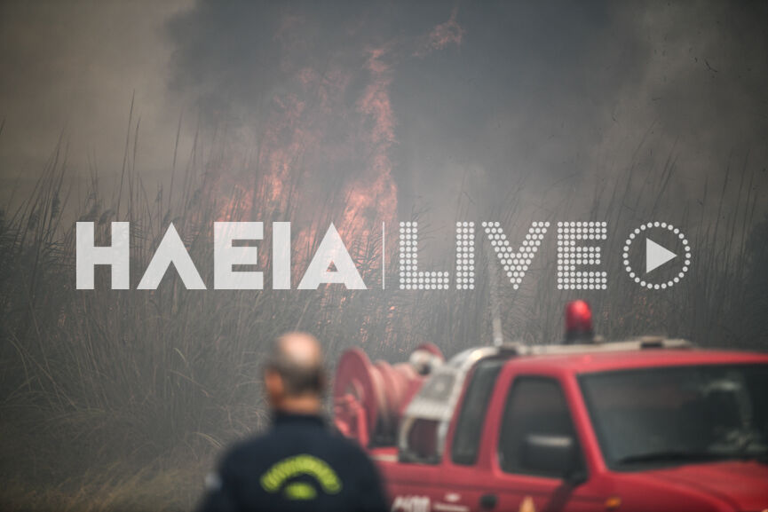 spiantza fire new10 8 9