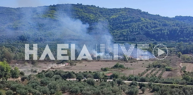 Αρχ. Ολύμπία: Οριοθετήθηκε η πυρκαγιά σε παραποτάμια έκταση του Αλφειού
