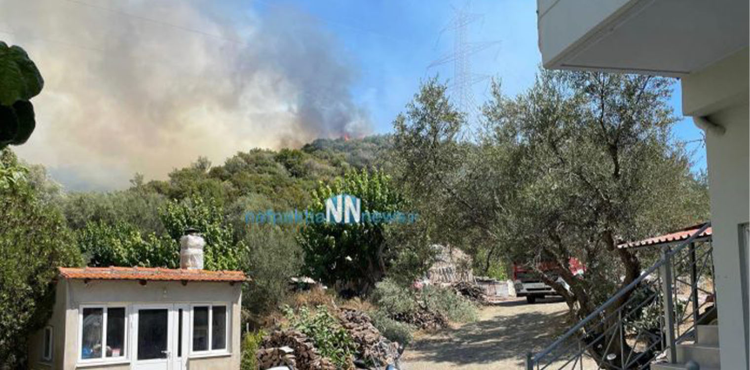 Μεγάλη πυρκαγιά στην Αφροξυλιά Ναυπακτίας - Πλησιάζει σε σπίτια (video)
