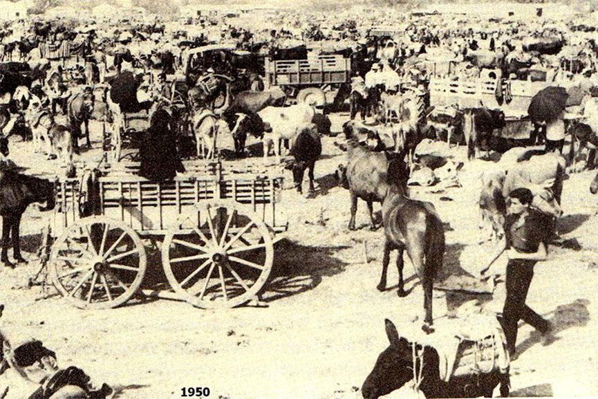 dimos varaga 2