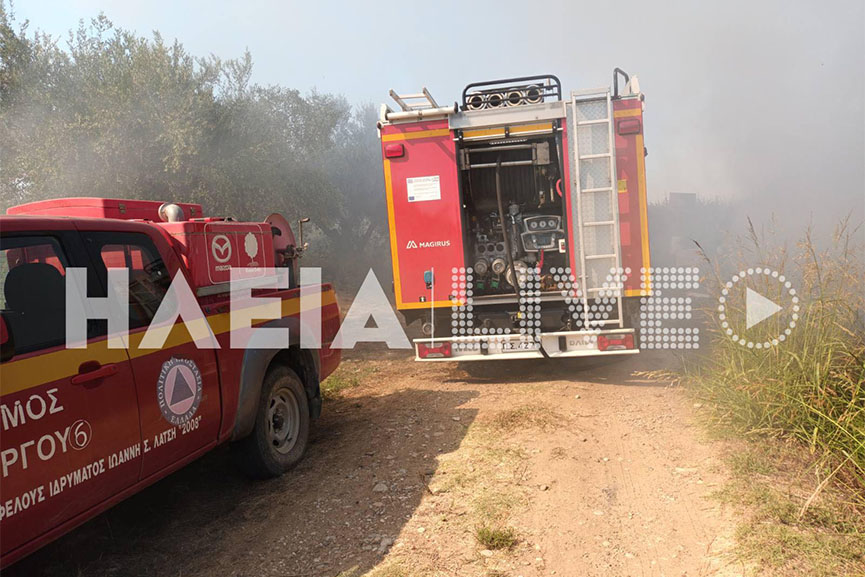 fotia katar 4