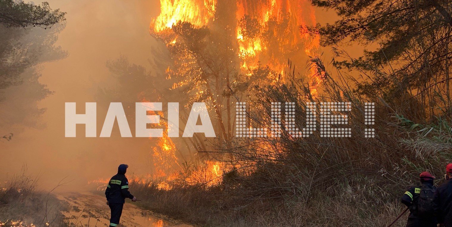 Πυρκαγιές: Στο 1/10 οι φετινές καμένες εκτάσεις σε σχέση με πέρυσι