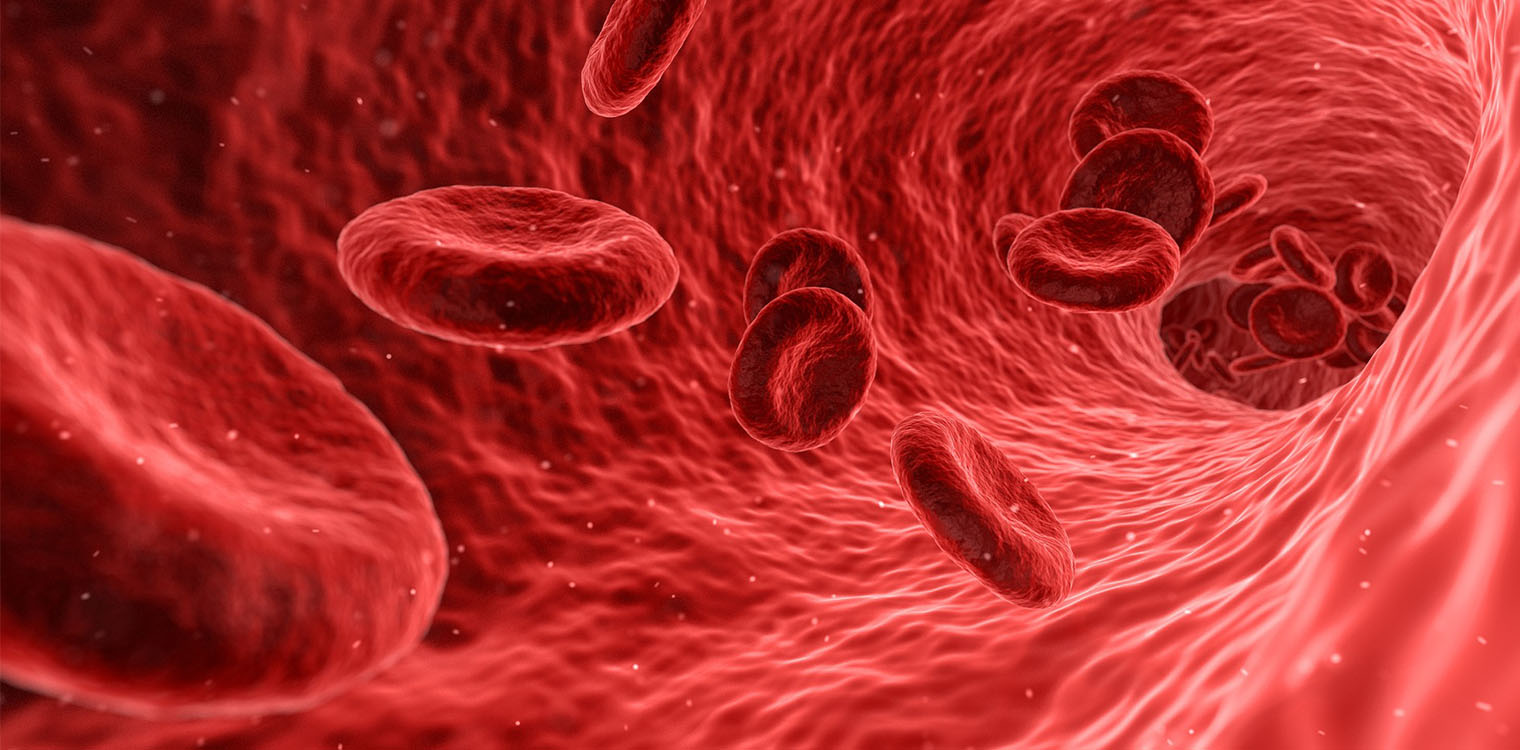 «Μικρορομπότ» που κολυμπούν στο αίμα εξολοθρεύουν θανατηφόρο βακτήριο