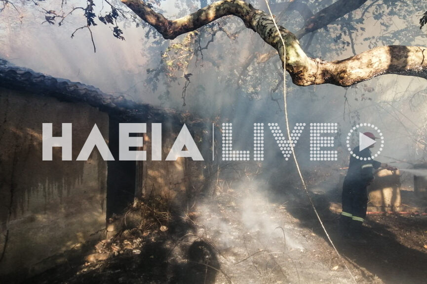 Fotia Lexaina 5
