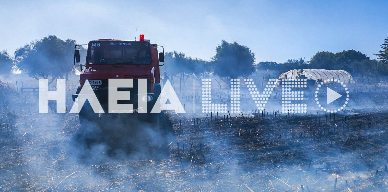 Καμπανάκι από Π.Υ. Ηλείας: 320 αγροτοδασικές πυρκαγιές σε μια εβδομάδα - Η αντιπυρική περίοδος δεν έχει τελειώσει