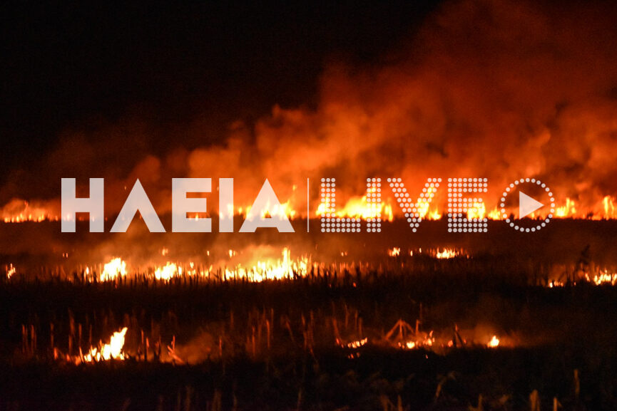 fotia katsikari 4