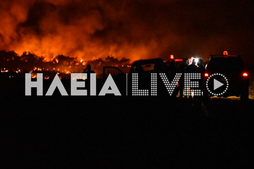 fotia katsikari 5