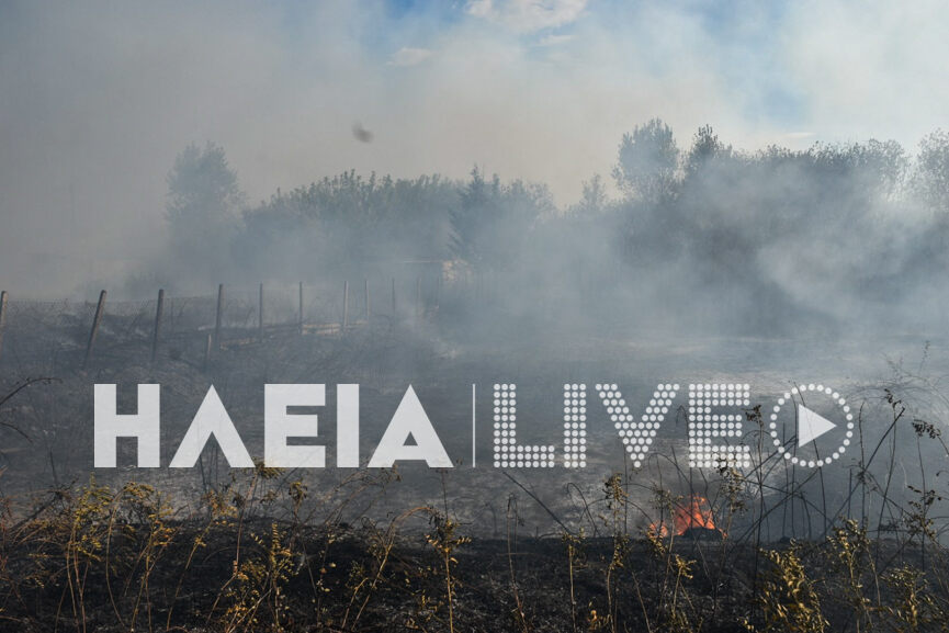 fotia kavouri 12
