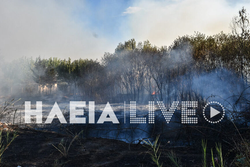 fotia kavouri 15