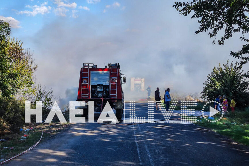fotia kavouri 2