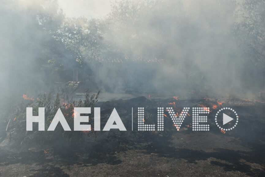 fotia kavouri 4