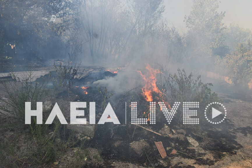 fotia kavouri 8